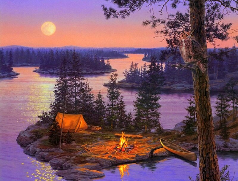 Campsite on Lakeside