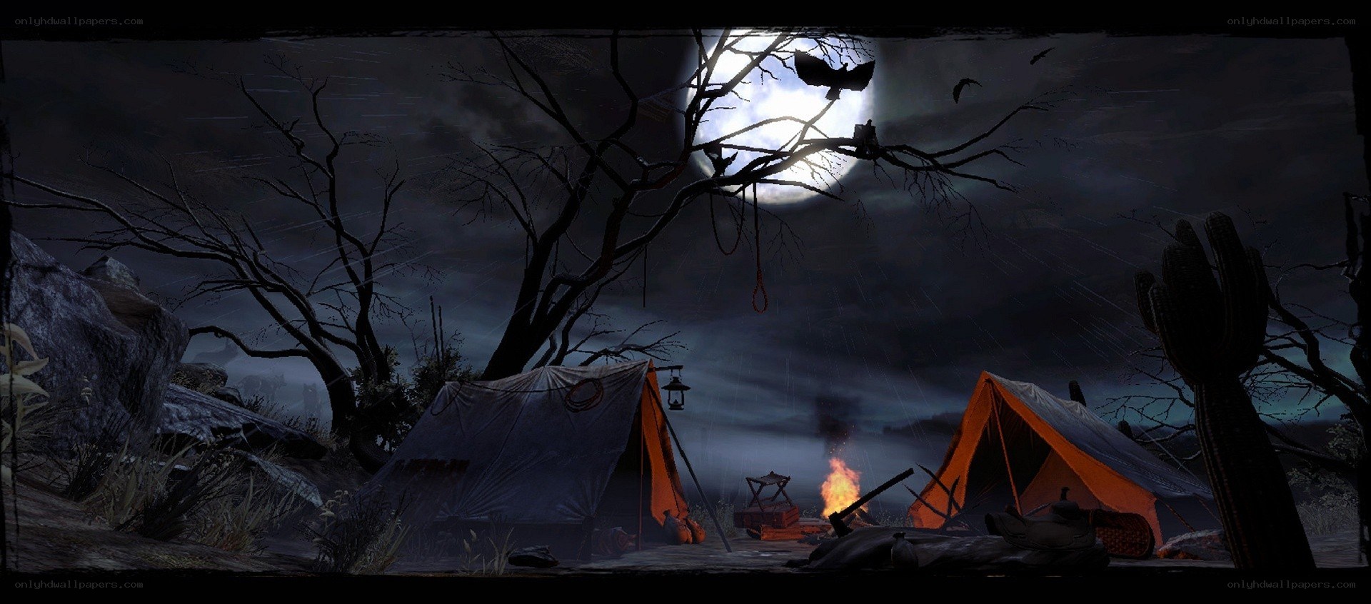 Campsite under a full moon