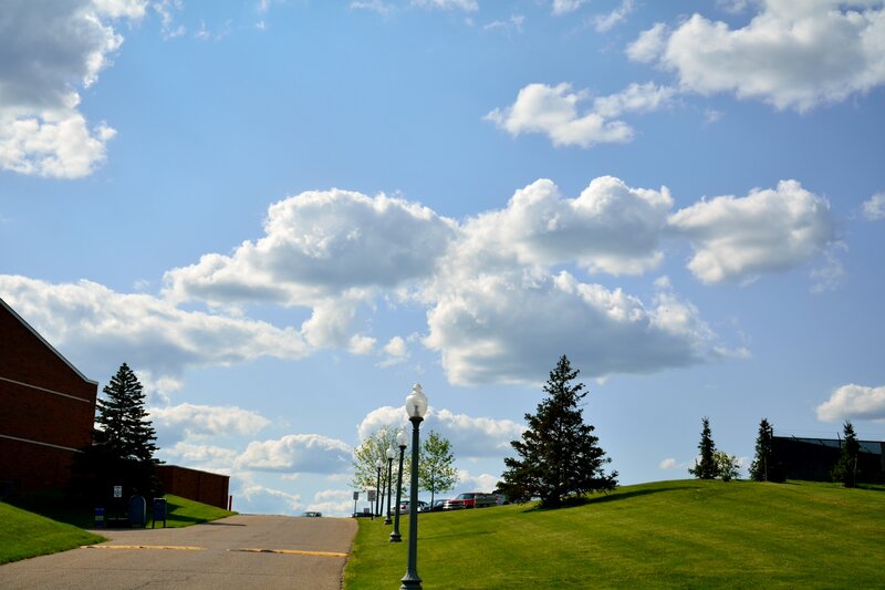 Campus Pathway with Trees
