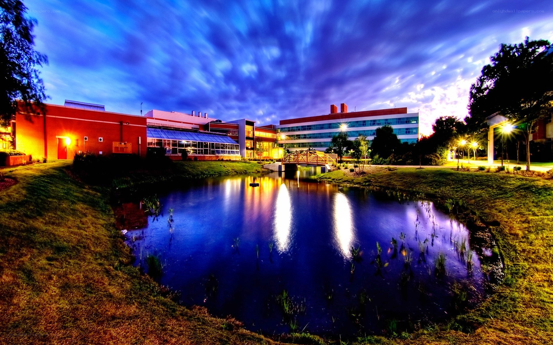 Campus pond at twilight