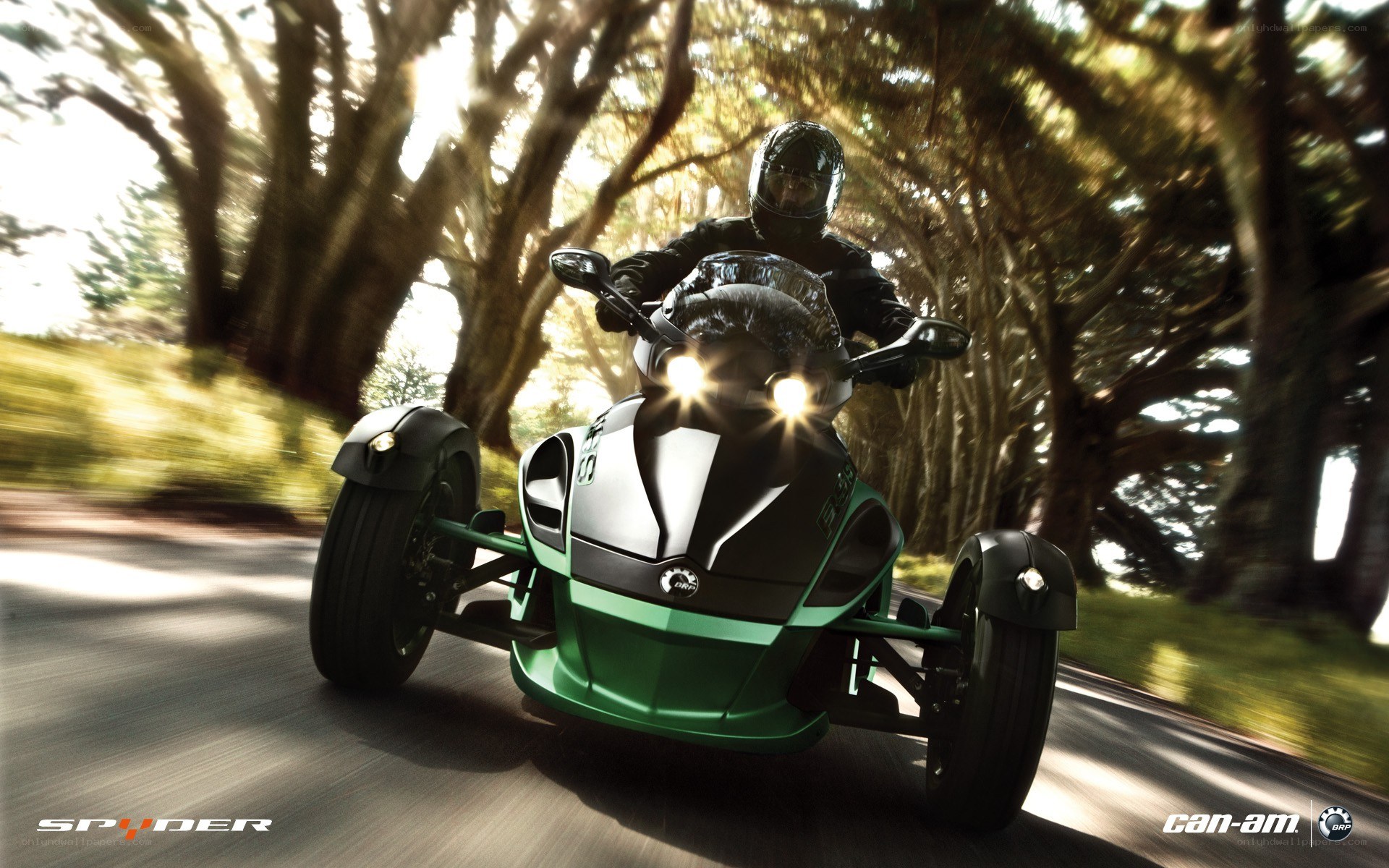 Can-Am Spyder on a forest road