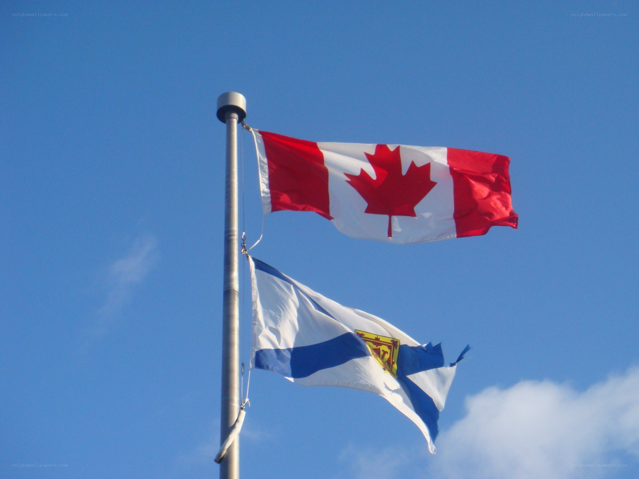 Canadian and New Brunswick flags