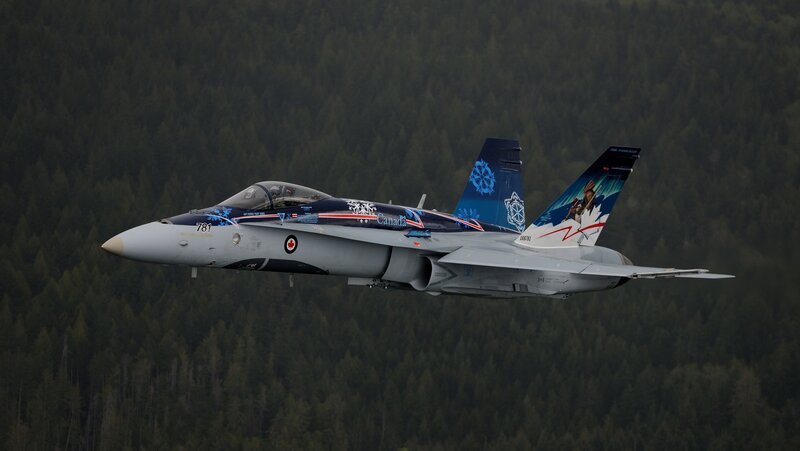 Canadian Fighter Jet — Gray, Dynamic