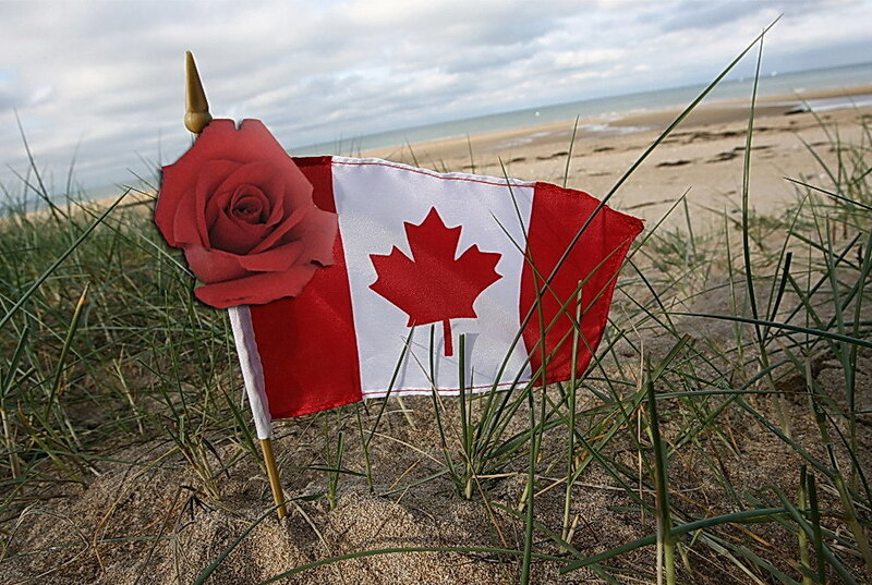 Canadian flag and rose on beach