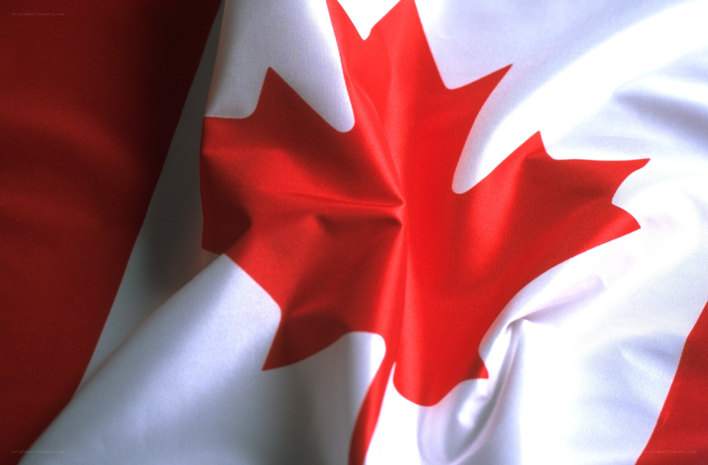 Canadian flag close-up