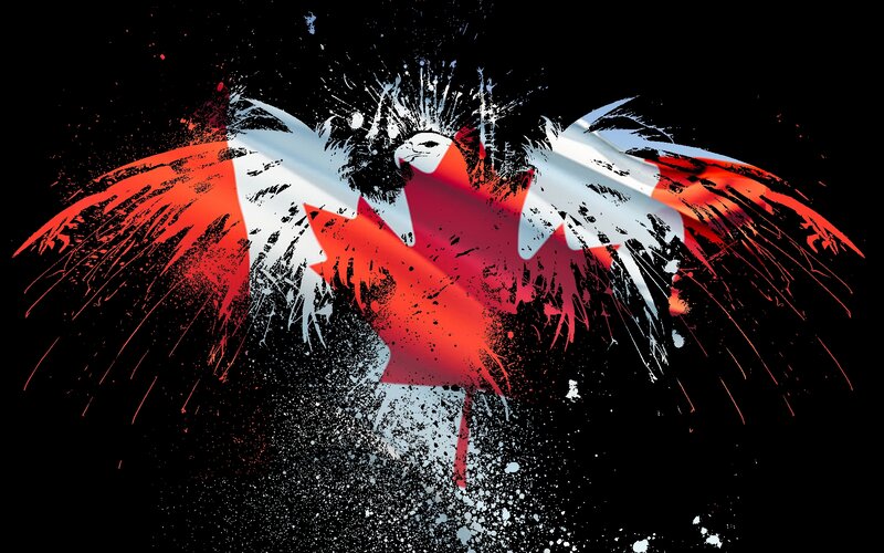 Canadian flag eagle art