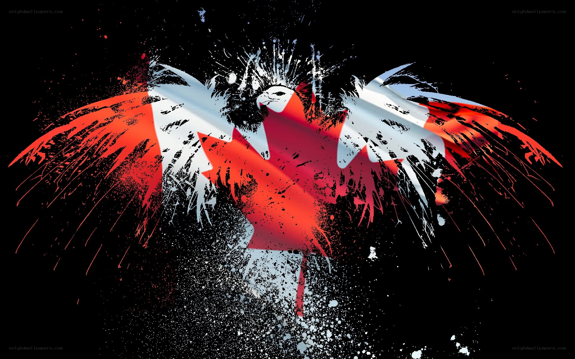 Canadian flag eagle art