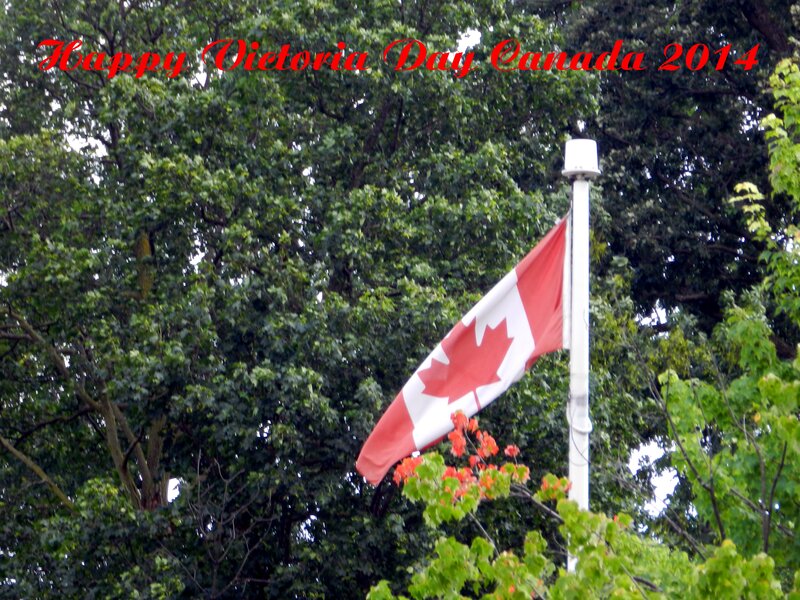 Canadian Flag on Pole