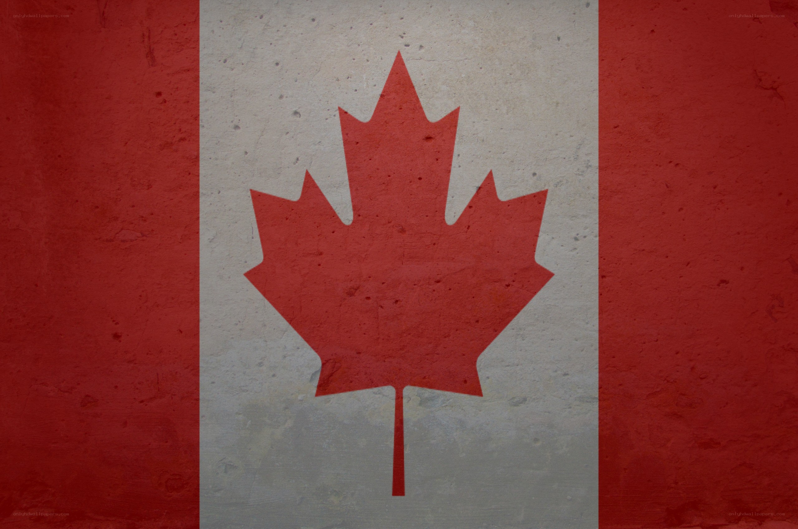 Canadian flag on textured wall