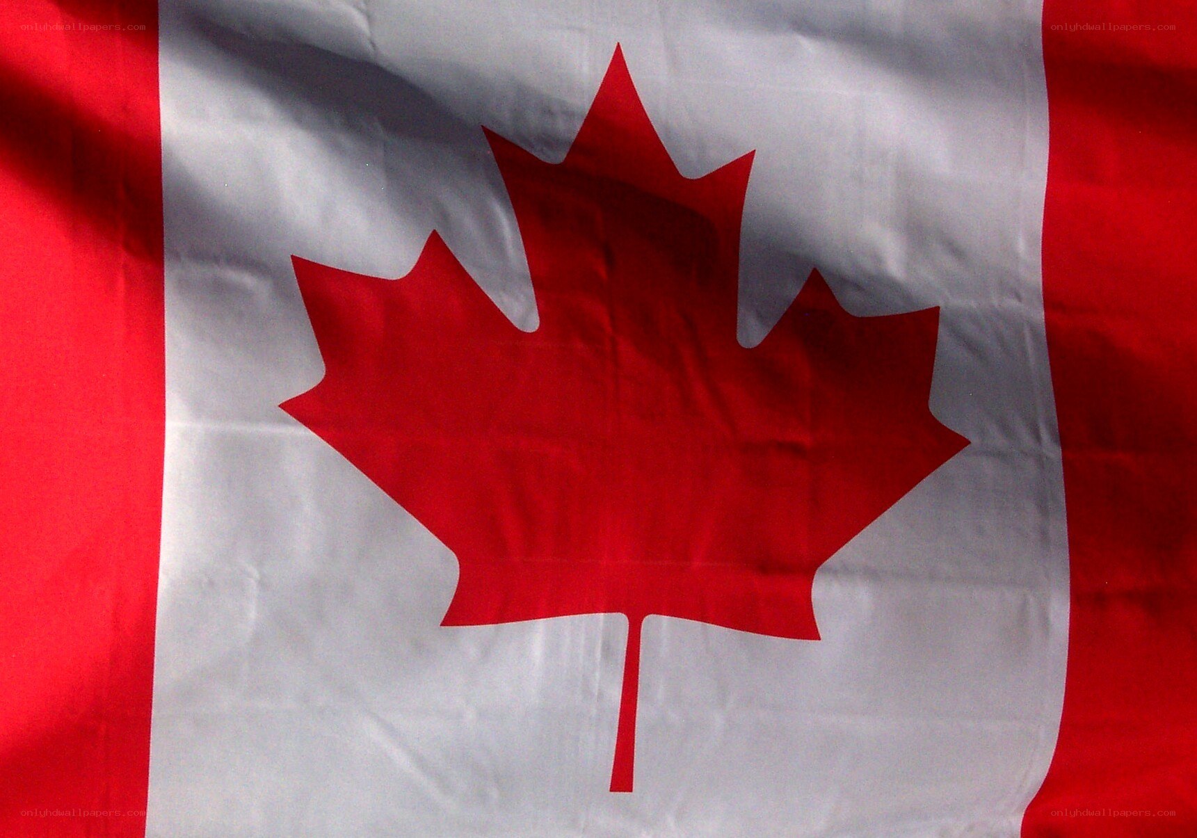 Canadian flag waving