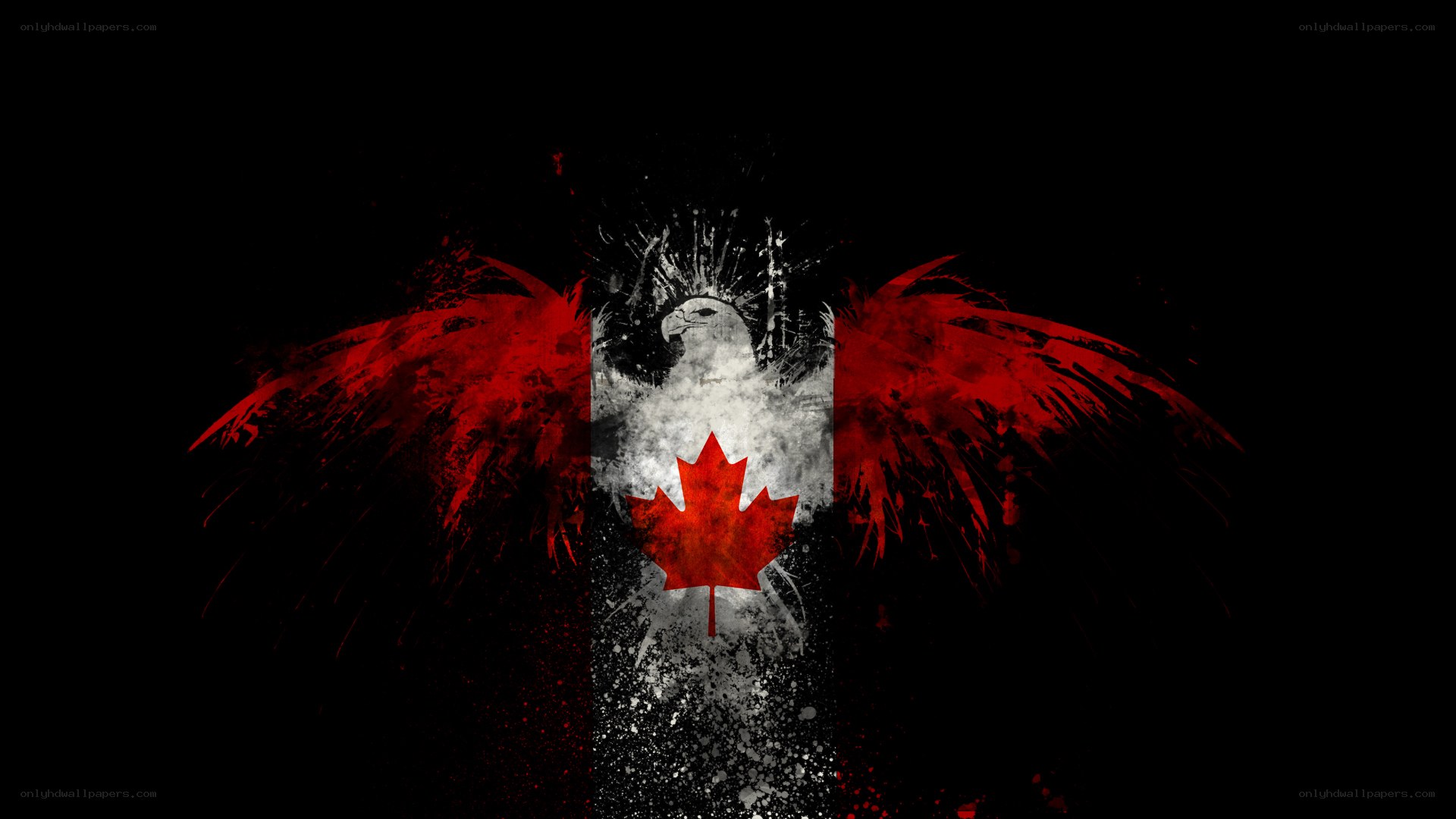 Canadian flag with eagle wings