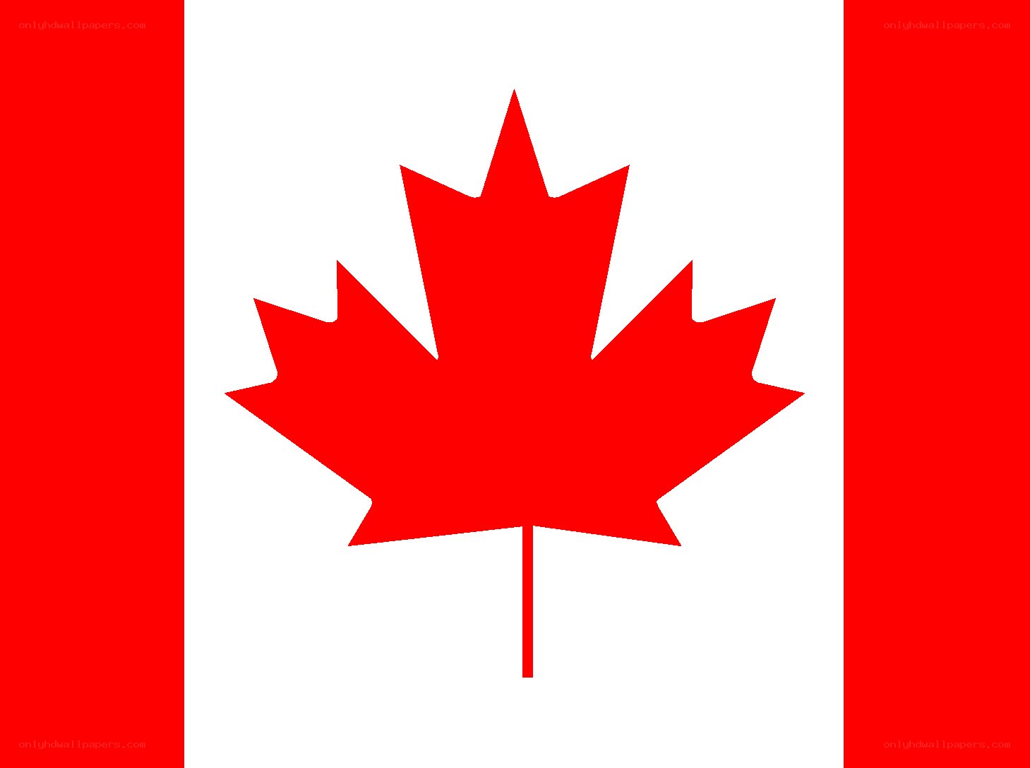 Canadian flag with maple leaf