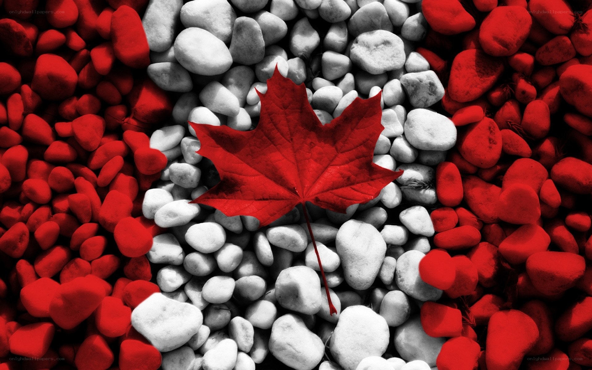 Canadian flag with red maple leaf