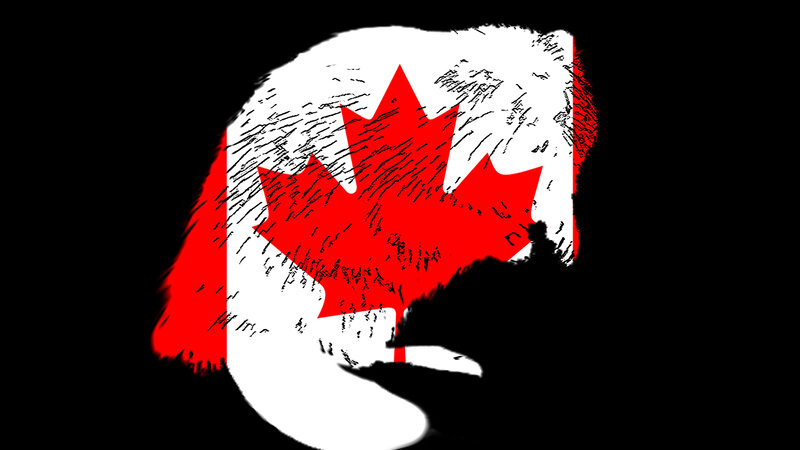 Canadian flag with sketch effect