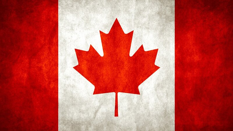Canadian flag with textured design