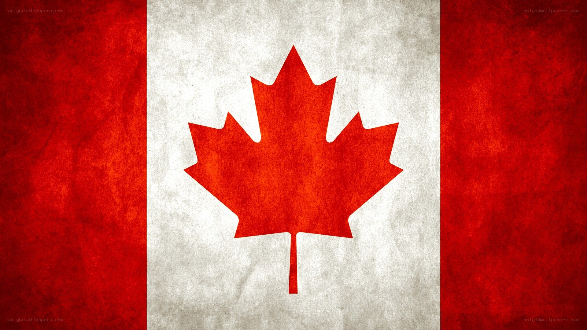 Canadian flag with textured design