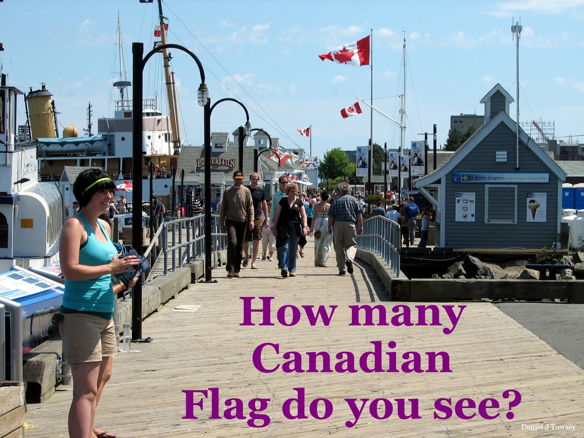 Canadian flags at a harbor