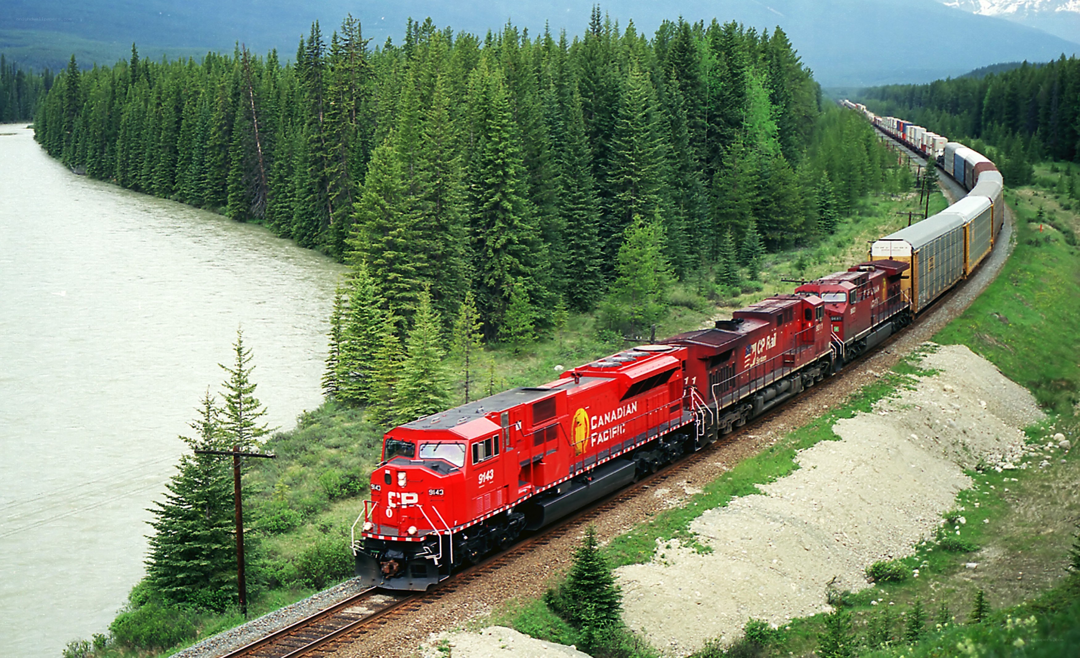 Canadian Pacific train in forest
