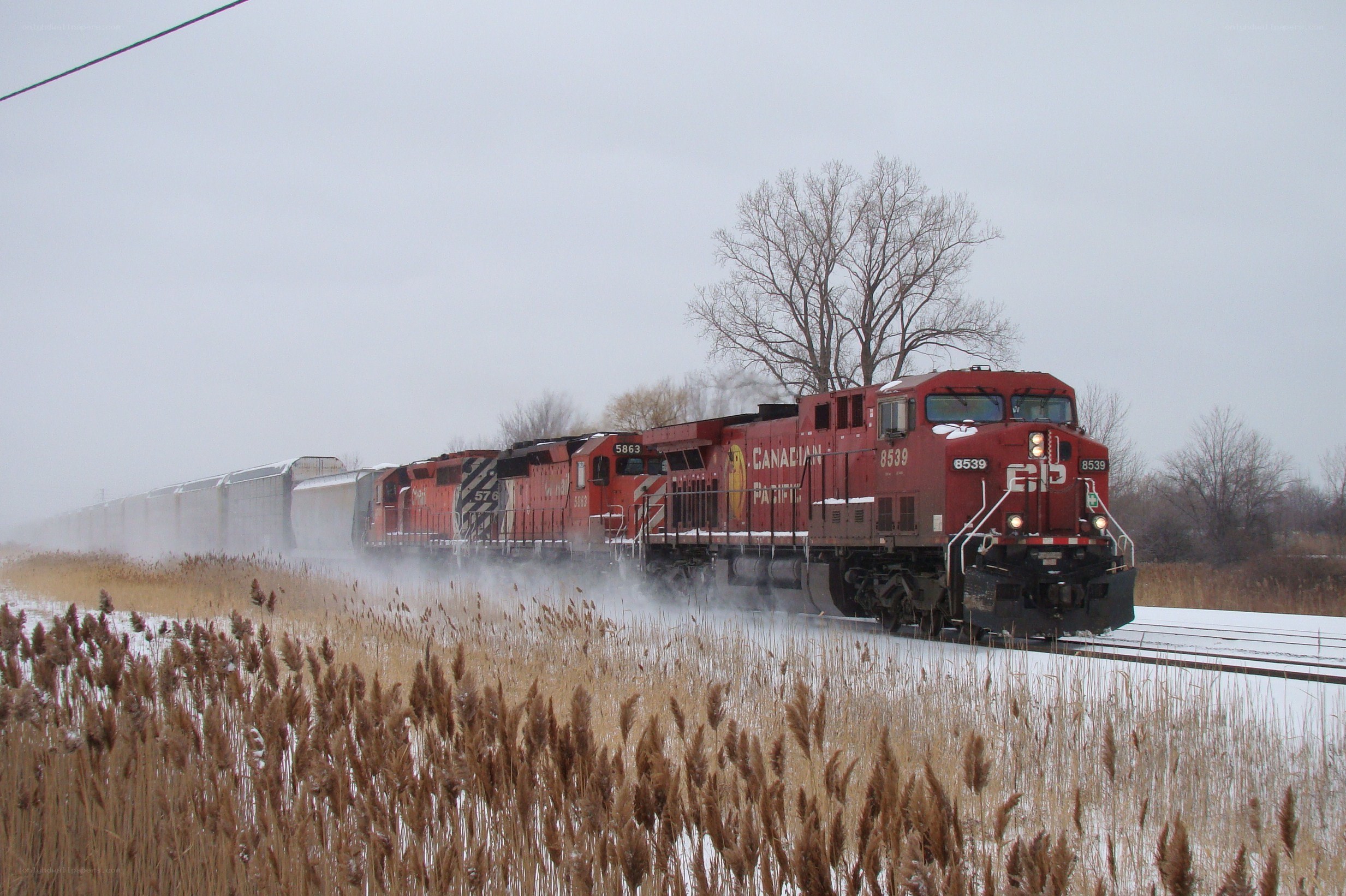 Canadian Pacific train in winter