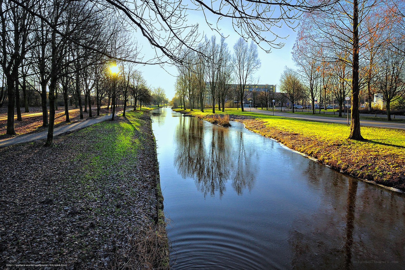 Canal at sunrise with tree reflections