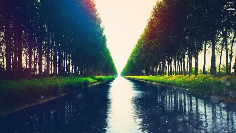 Canal Between Tree-lined Banks — Green, Serene