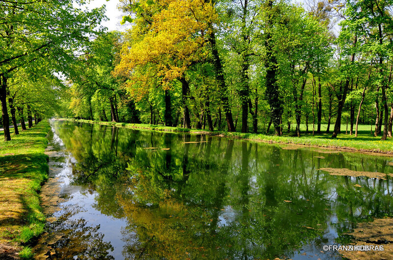 Canal in a Park — Green