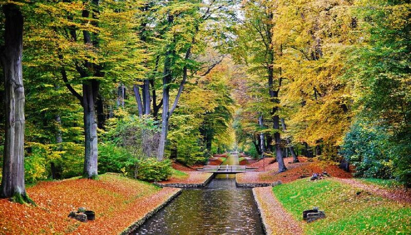 Canal in Autumn Forest