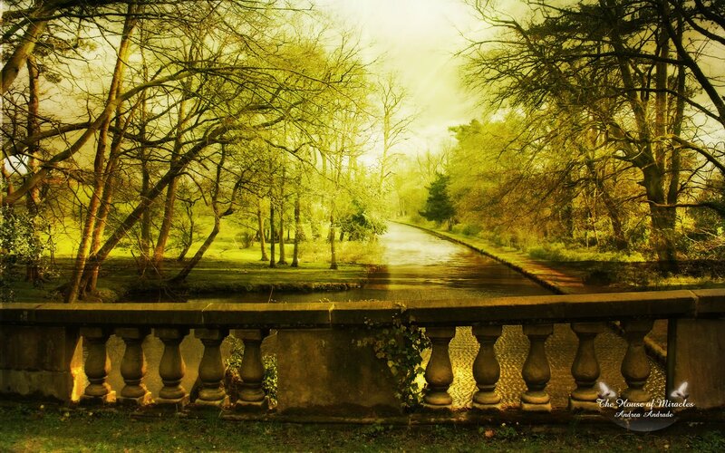 Canal in Park