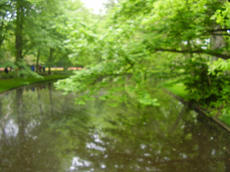 Canal in Park with Trees