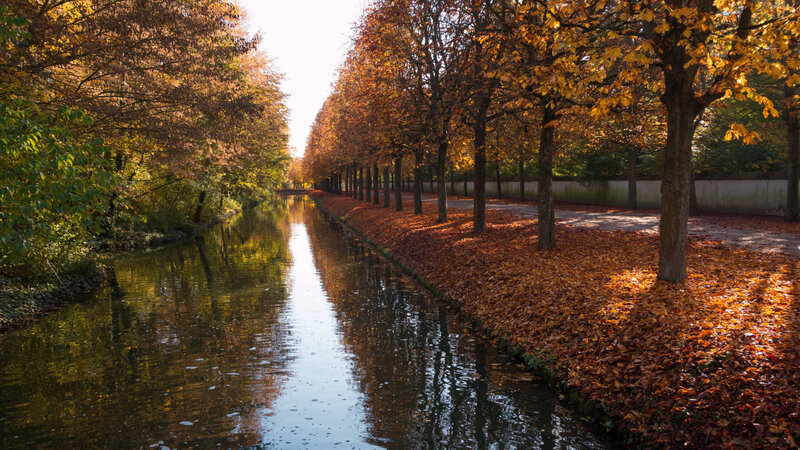 Canal Lined with Autumn Trees — Orange, Serene