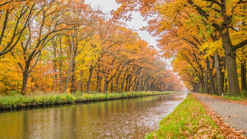 Canal Lined with Autumn Trees — Orange