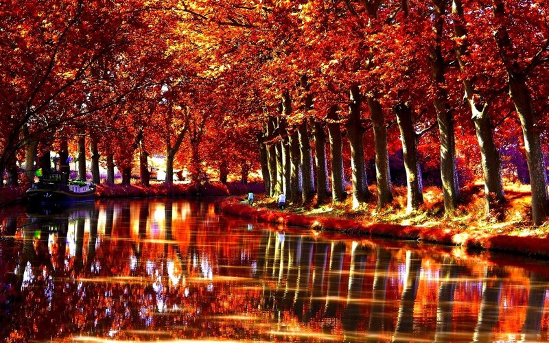 Canal Lined with Autumn Trees