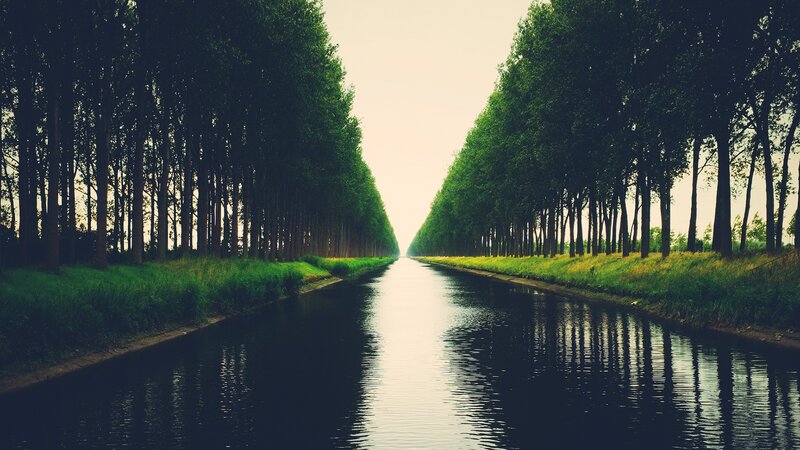 canal lined with trees