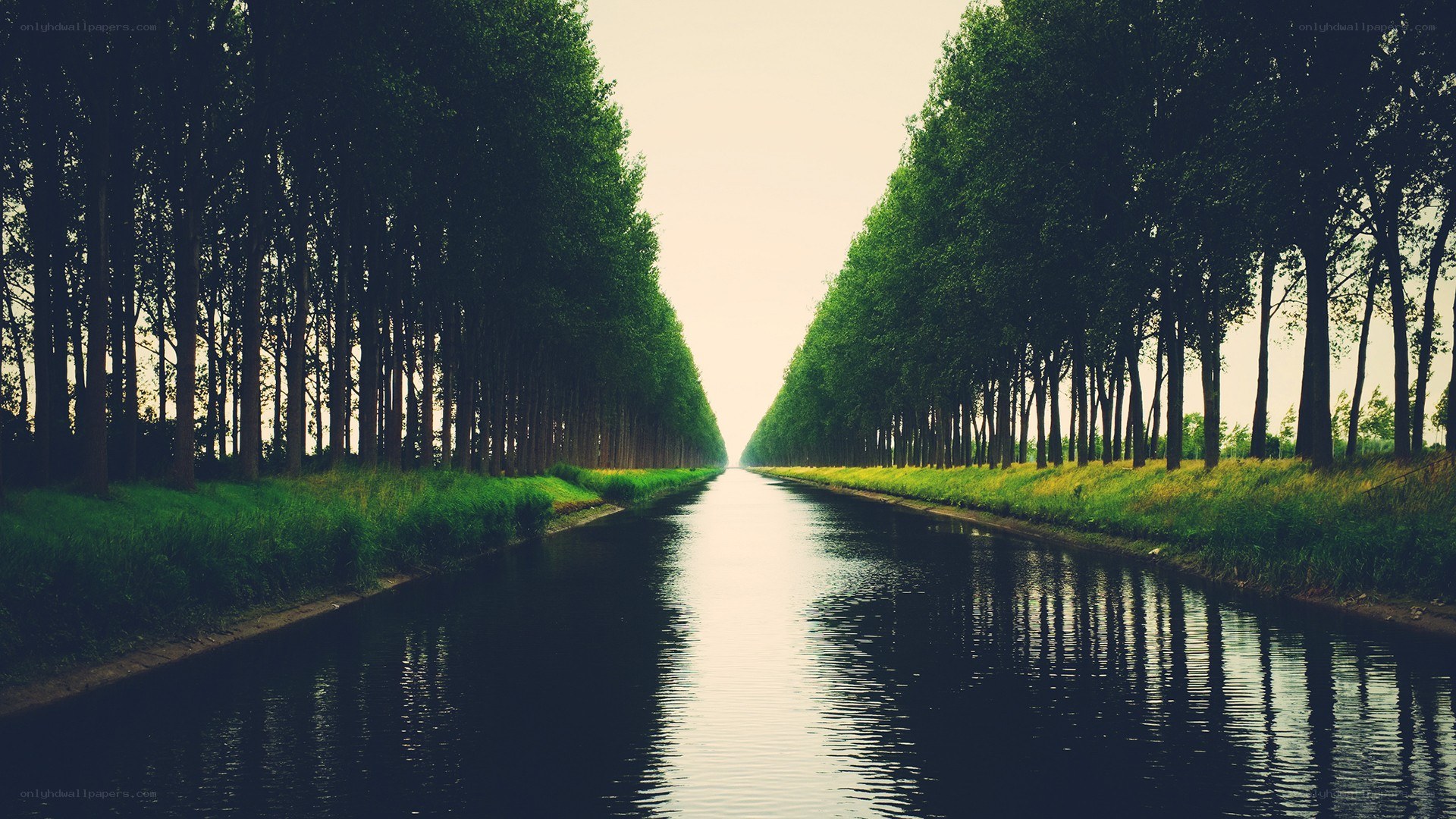 canal lined with trees