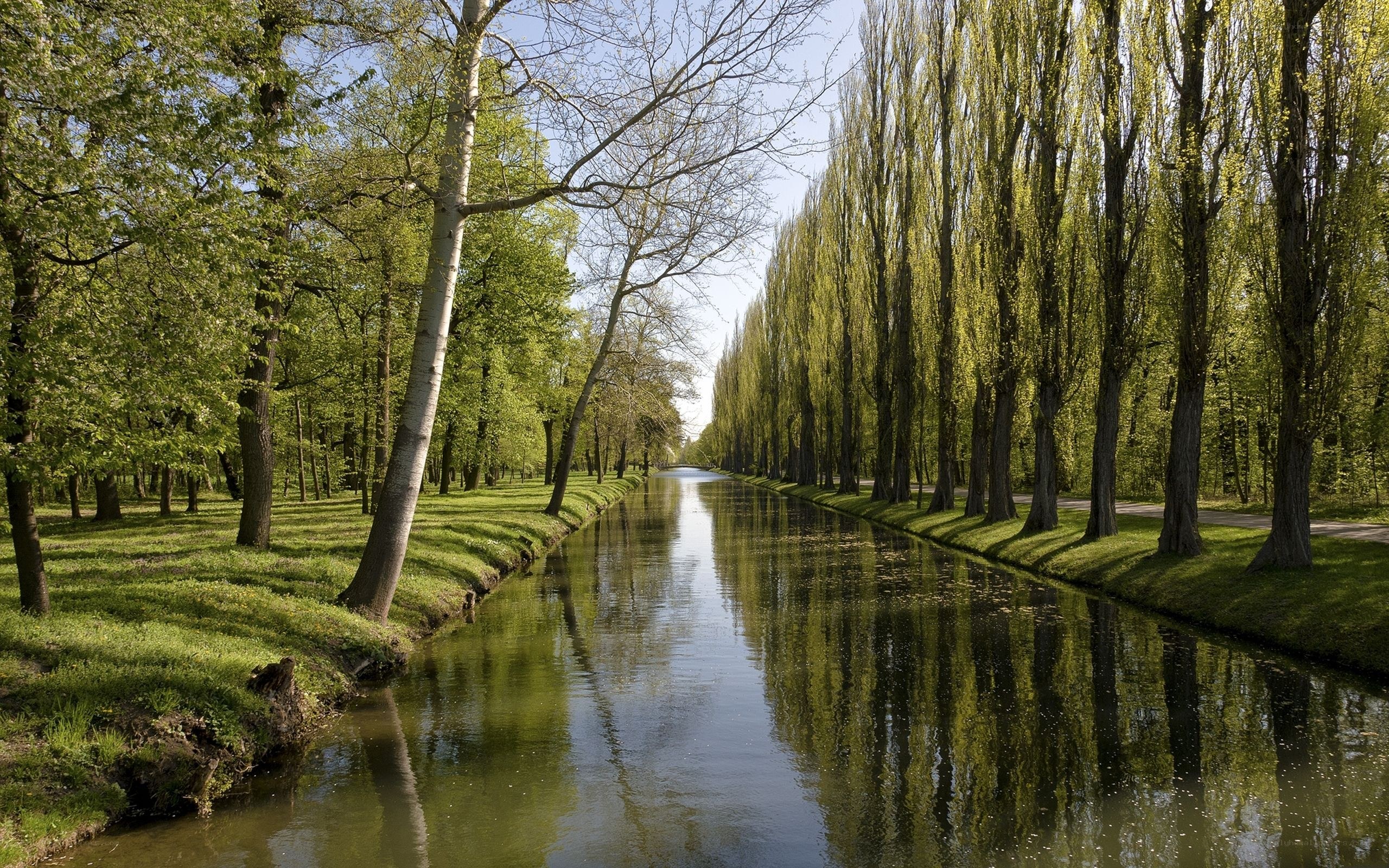 Canal lined with trees