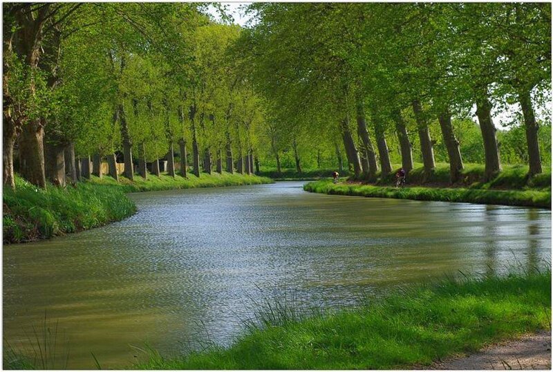 canal lined with trees