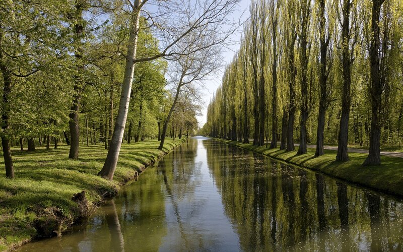 Canal Lined with Trees — Green, Serene, Afternoon, Photograph, Grass, River