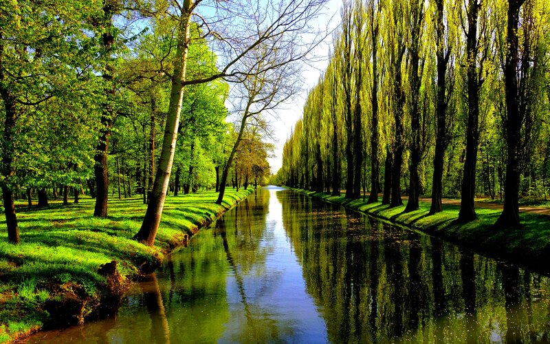 Canal Lined with Trees — Green, Serene, Afternoon