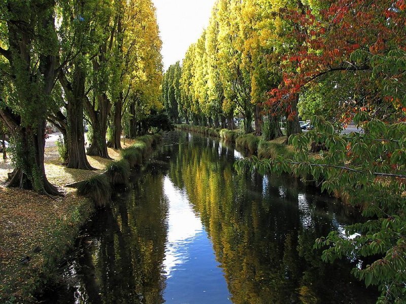 Canal Lined with Trees — Green, Serene