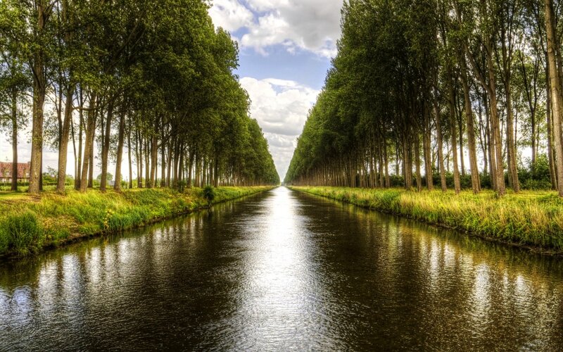 Canal Lined with Trees — Green