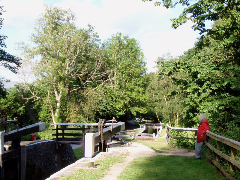 Canal lock with trees