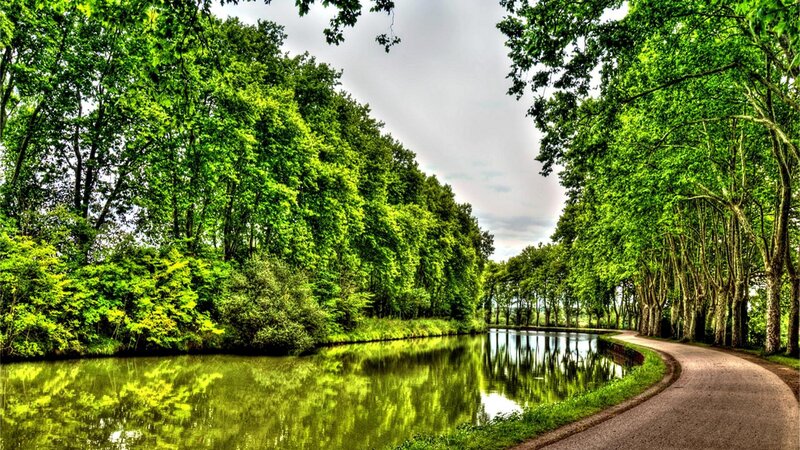 Canal Path with Trees — Green, Serene