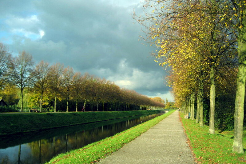 Canal Path with Trees — Green