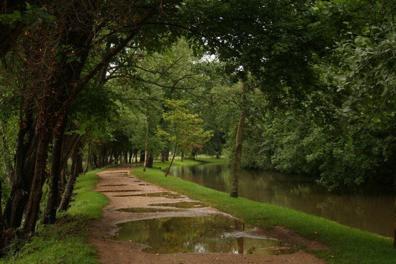 Canal Path with Trees