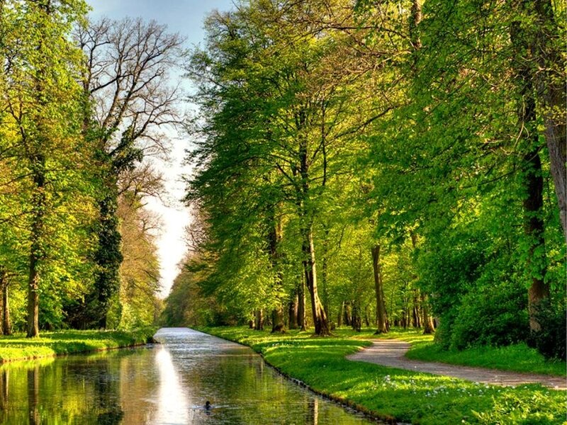 canal through a green forest