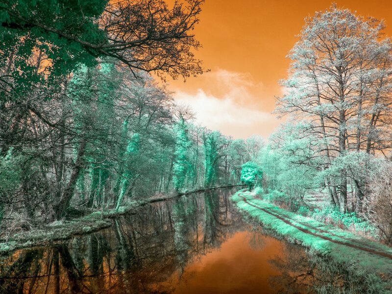 Canal Through Forest