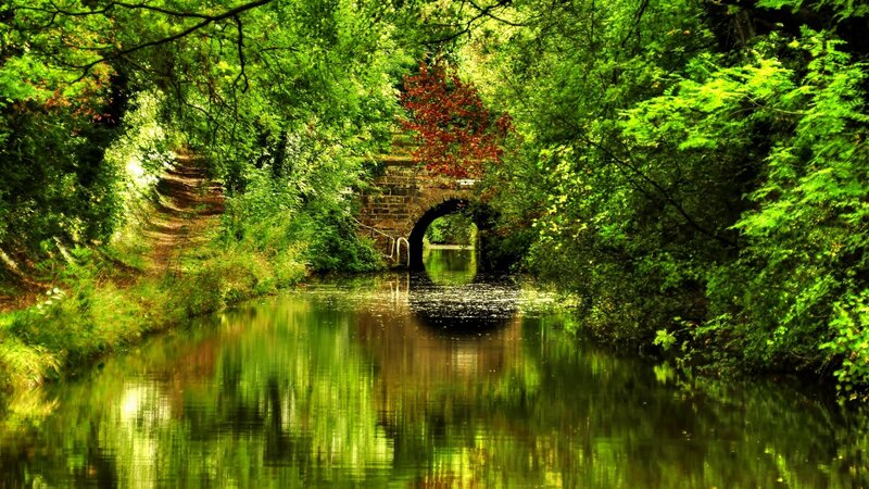 Canal under Stone Bridge — Green, Serene
