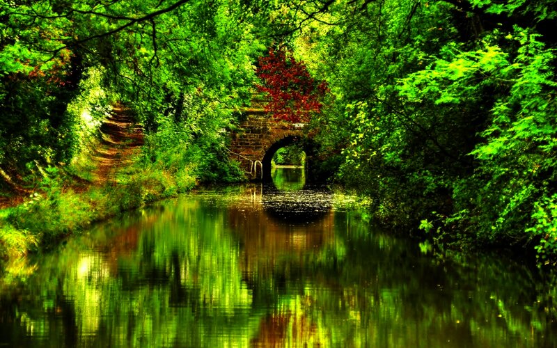 Canal under Stone Bridge — Green