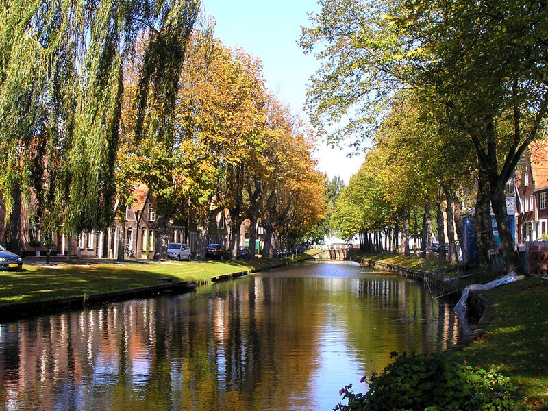 Canal with Autumn Trees — Green, Serene