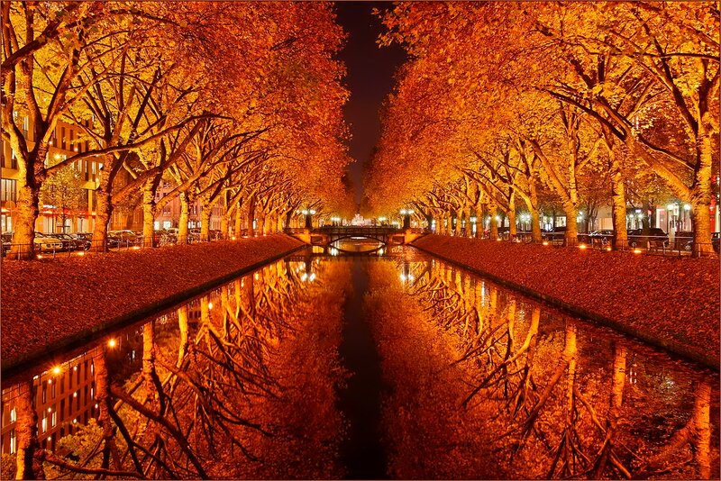Canal with Autumn Trees — Orange